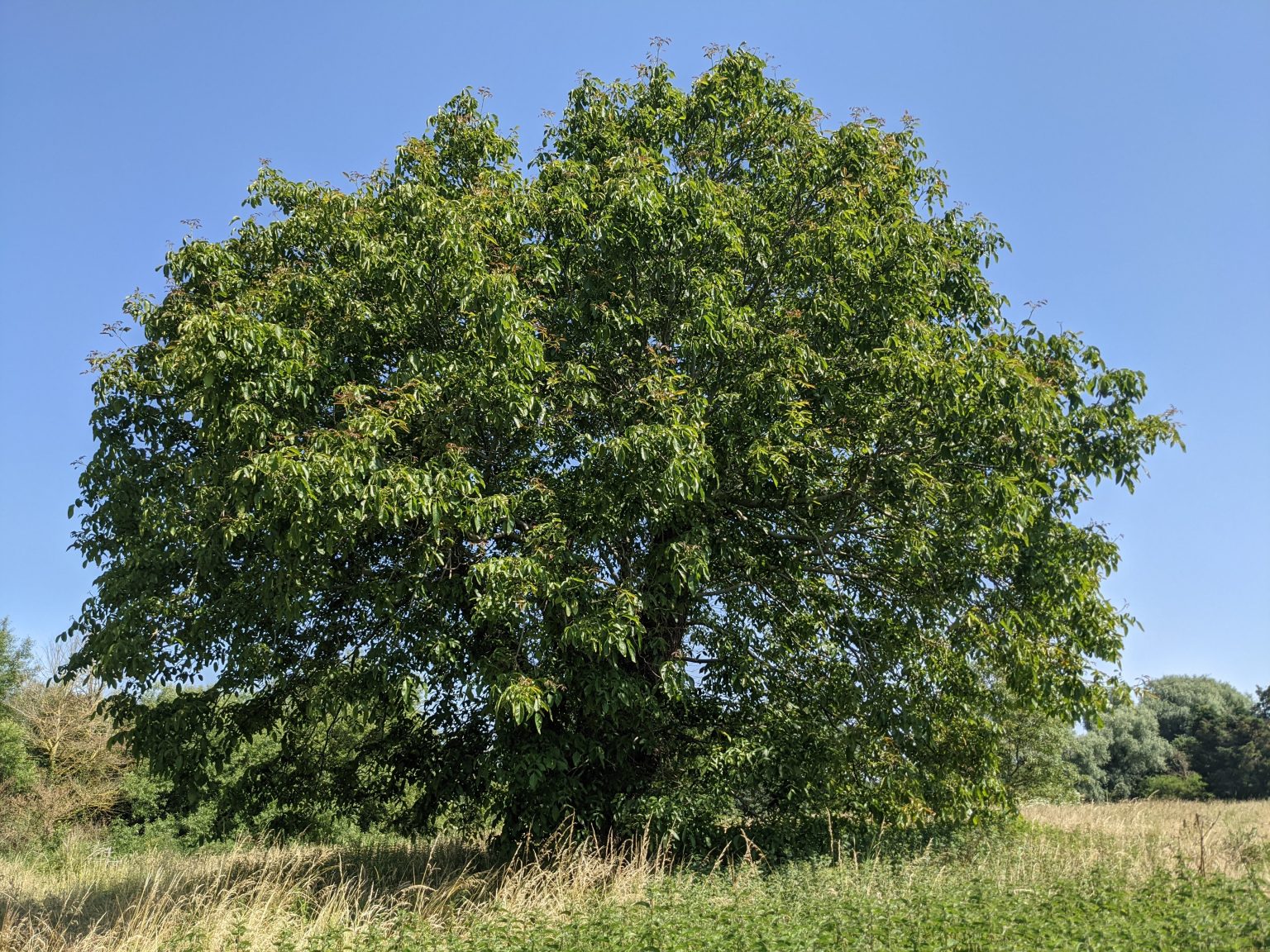 Sturminster Marshall – A Village in East Dorset